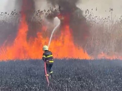 Qazaxda 2 ha qamışlıq yandı-VİDEO