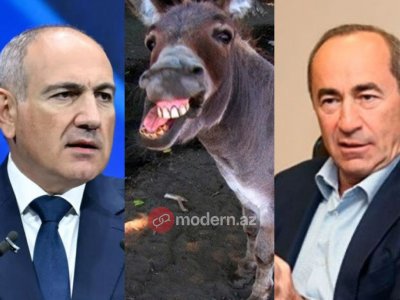 Paşinyandan Koçaryana&nbsp;təklif: Eşşək kimi anqır