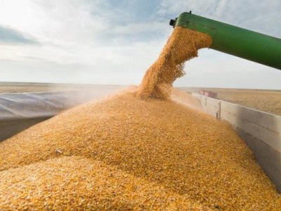 Beş ayda Azərbaycandan Ermənistana nə qədər taxıl daşınıb? - AÇIQLANDI