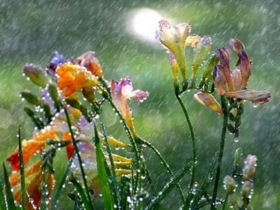 Sabahdan hava yenidən pisləşəcək - İntensiv yağış, dolu, qar