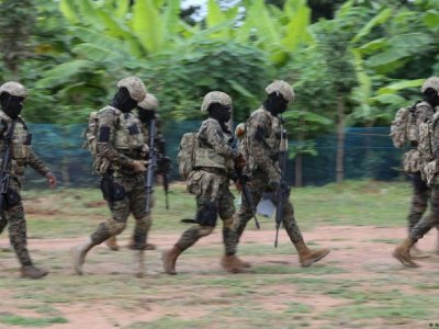 Terror təşkilatı yaradanlara 14 ilədək həbs təklif olunur&nbsp;