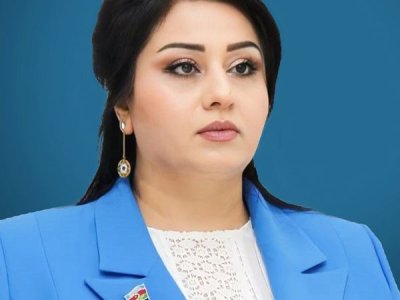 Tarixi binaya qrafiti çəkmək vandalizmdir - DEPUTAT