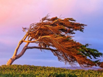 Külək güclənəcək - Sarı xəbərdarlıq