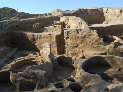 Göytəpə abidəsi ciddi təhlükədədir - VİDEO