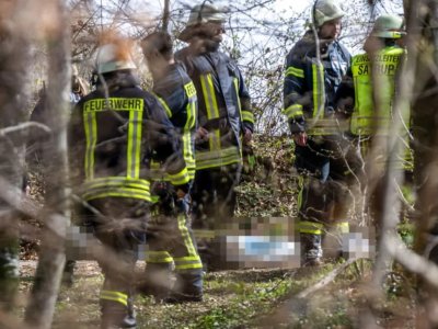 Ağac aşdı, üç nəfər öldü