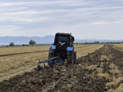 Fermer təsərrüfatları üçün ən azı 6 hektar torpaq vacibdir