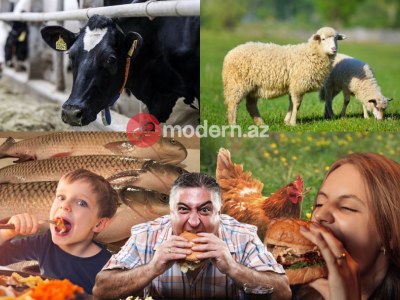 Каждый азербайджанец за свою жизнь съедает 4 коровы, 35 овец - ИССЛЕДОВАНИЕ