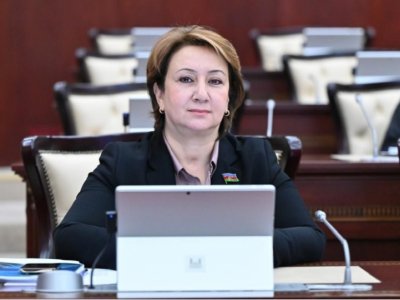 Azərbaycan və Gürcüstan: dostluqdan geosiyasi tərəfdaşlığa