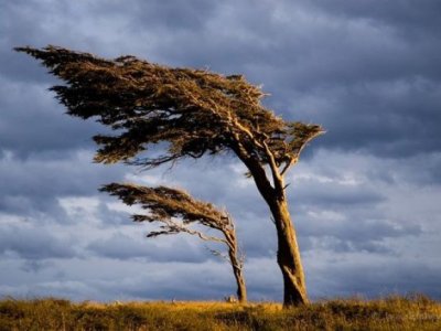 Nazirlik hava ilə bağlı yenidən əhaliyə çağırış etdi