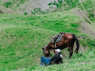 Azad bölgələrə mal-qara aparmağa icazə verilir