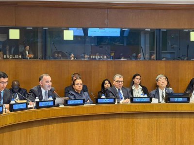 &ldquo;ASAN xidmət&rdquo; BMT-nin Ekspertlər Komitəsinin sessiyasında müzakirəyə çıxarıldı