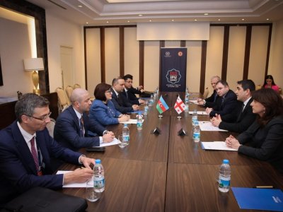 Azərbaycan və Gürcüstanın spikerləri&nbsp;regional sülhü müzakirə edib