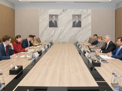 RİNN-də ABŞ nümayəndə heyəti ilə görüş keçirilib -&nbsp;FOTOLAR