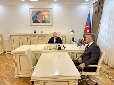 İcra başçısı bu görüşə görə tənqid olundu