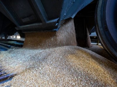 Azərbaycandan&nbsp;Ermənistana buğda göndəriləcək