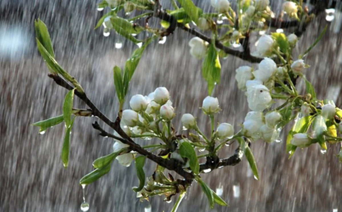 Yenə yağış, dolu, qar gözlənilir...