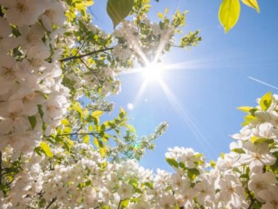 Bazar gününün hava PROQNOZU