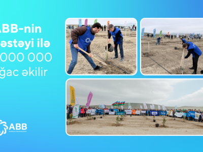 ABB-nin dəstəyi ilə 1 milyon ağac əkilir