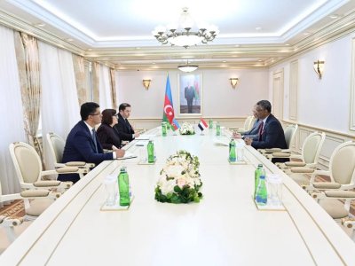 Sahibə Qafarova Sudanın səfiri ilə görüşüb