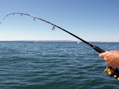 Xəzərdə balıq ovu tam dayandırılır