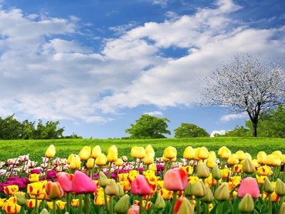 Mayın ilk günündə 25 dərəcə isti olacaq