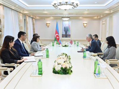 Milli Məclisin sədri Britaniya səfiri ilə görüşüb