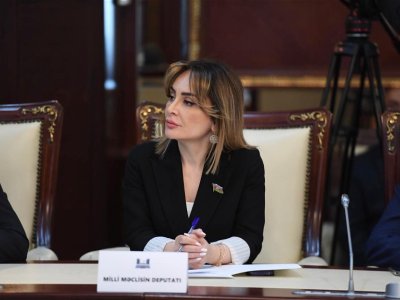 Süni intellekt müraciətlərin daha səmərəli idarəsinə imkan verəcək - DEPUTAT
