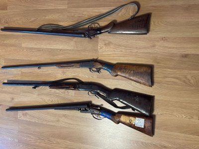 Qanunsuz saxlanılan 7 silah aşkarlandı