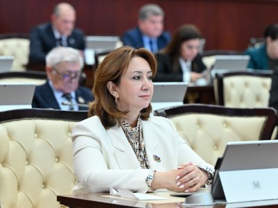 Regional sülh gündəliyi və Avropa platformasında yeni reallıqlar
