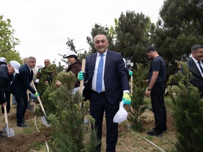 Bakı Sağlamlıq Mərkəzinin kollektivi ağacəkmə aksiyasında - FOTO