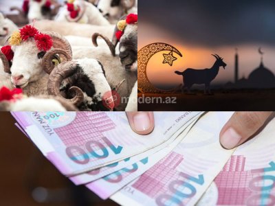 Qurban bayramı öncəsi ət qiymətləri niyə artır?
