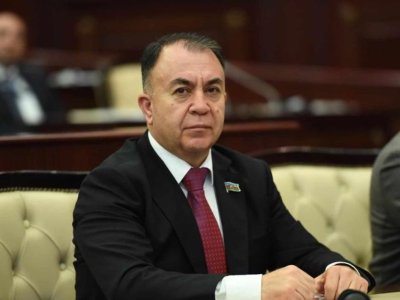 Sənayedə istifadə üçün ağaclar olacaq - Deputat