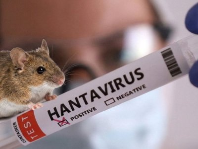 Hantavirusa görə&nbsp;41 nəfər müşahidə altındadır