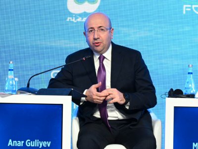 Bərpa olunan enerjinin payı 38 %-ə çatdırılacaq -&nbsp;Anar Quliyev