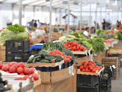 &ldquo;Kənddən Şəhərə&rdquo; həftəsonu yarmarkası&nbsp;təşkil olunacaq