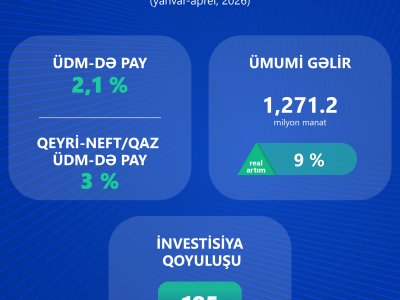 İKT sektorunun gəlirlərində informasiya xidmətlərinin payı artır