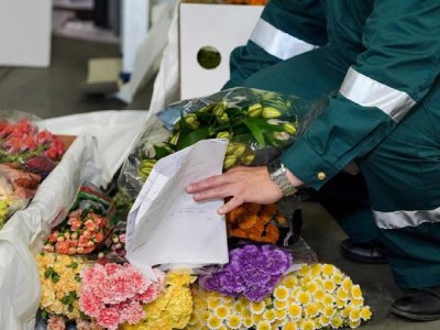 Ermenistan yüzünden karanfil ve gül pahalandı