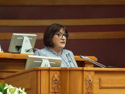 Spiker MDB PA-nın plenar iclasında çıxış etdi