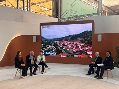 WUF13-də mina təhlükəsinin Böyük Qayıdışa təsirindən danışıldı - FOTO