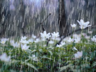 Hava ilə bağlı XƏBƏRDARLIQ EDİLDİ