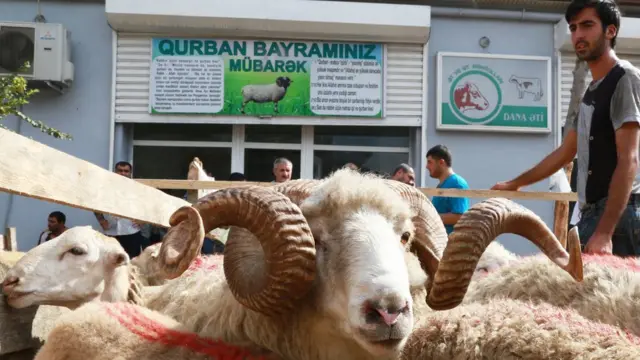Azərbaycanda nə qədər qurban kəsildi?