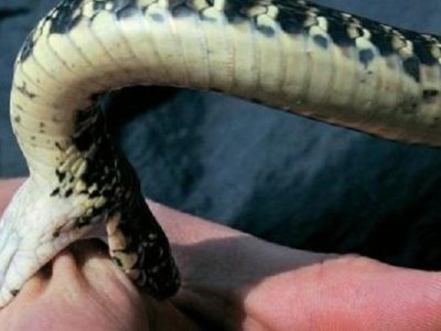 Ağdamda 68 yaşlı qadını ilan sancdı