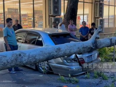 Güclü külək ağacı "Mercedes"in üzərinə aşırdı