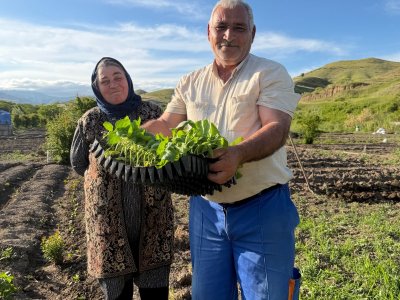 Zəngilan və Cəbrayılda sakinlərə bostan-tərəvəz şitili paylanılıb - FOTO