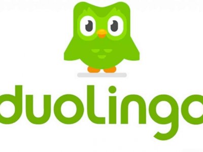 Duolingo oğluma kişi ilə də evlənə biləcəyini deyib&nbsp;&ndash; Milli Məclisdə iddia
