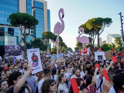 "Flamingo revolution" is happening in this country