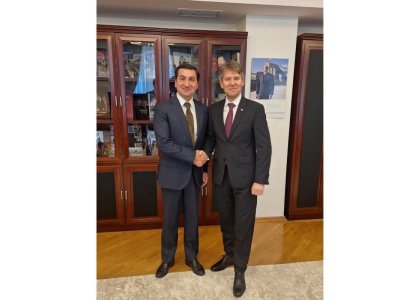 Hikmət Hacıyev&nbsp;Slovakiya XİN-in dövlət katibi ilə görüşdü
