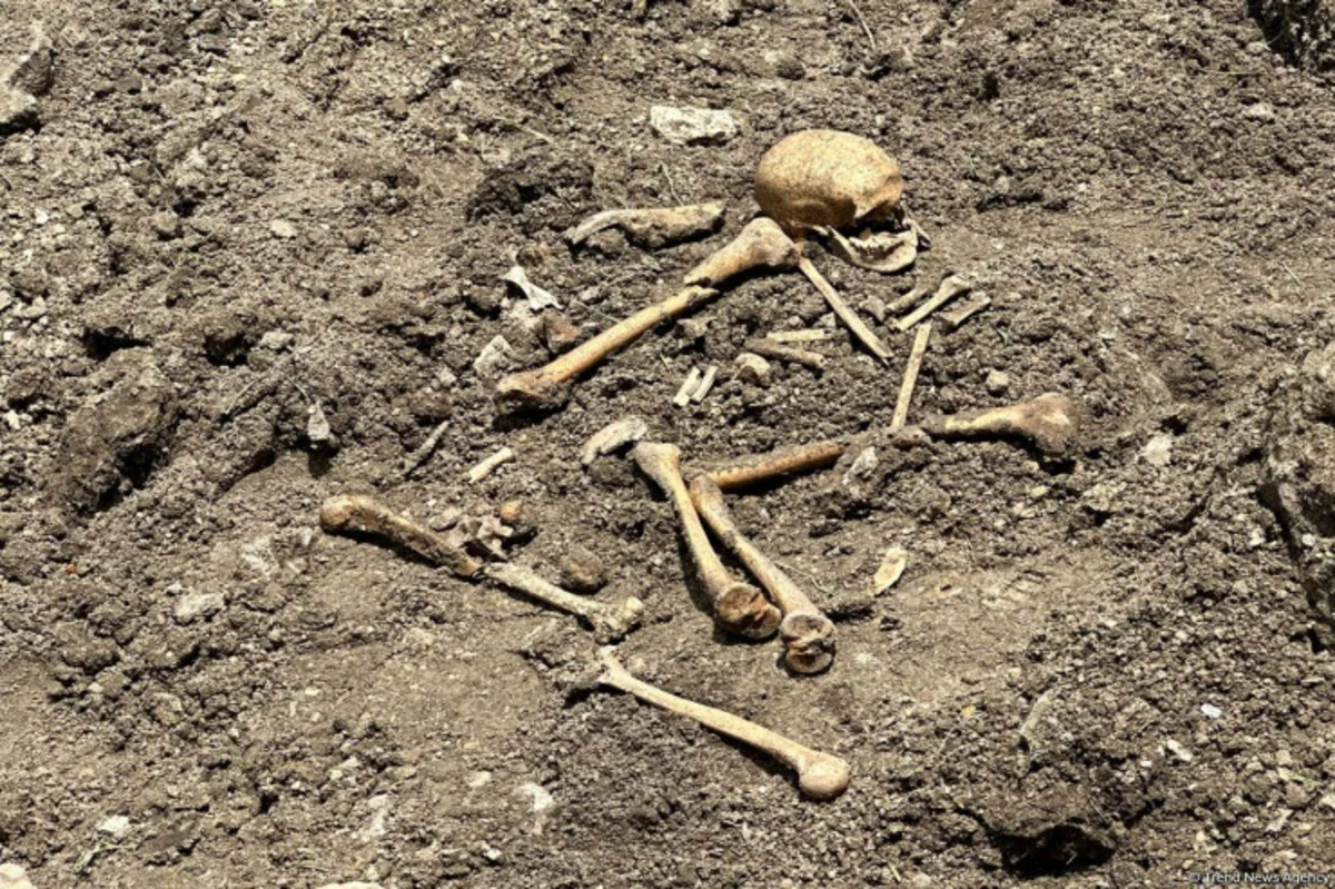 Ağdamda insan skeletinə bənzər qalıqlar aşkarlanıb