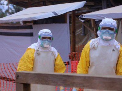 Ebola virus detected for the first time in France