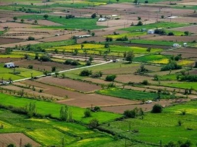 Vərəsələrin nəzərinə: Bölünə bilməyən&nbsp;torpaqlar&nbsp;satılacaq